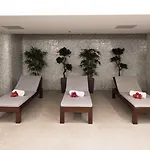 阿丽蒙德马蕾酒店 酒店